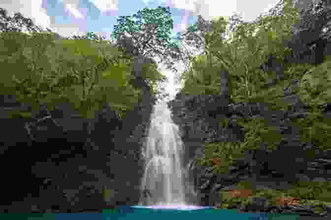 A Breathtaking Waterfall In Costa Rica, Surrounded By Lush Vegetation Costa Rica: The Complete Guide: Ecotourism In Costa Rica (Color Travel Guide)