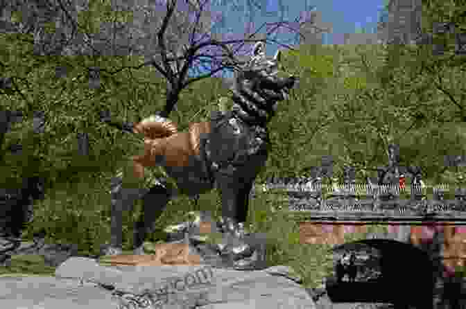 A Bronze Statue Of Balto Stands In Central Park, New York City, Commemorating His Heroic Journey. Balto And The Great Race (Totally True Adventures): How A Sled Dog Saved The Children Of Nome