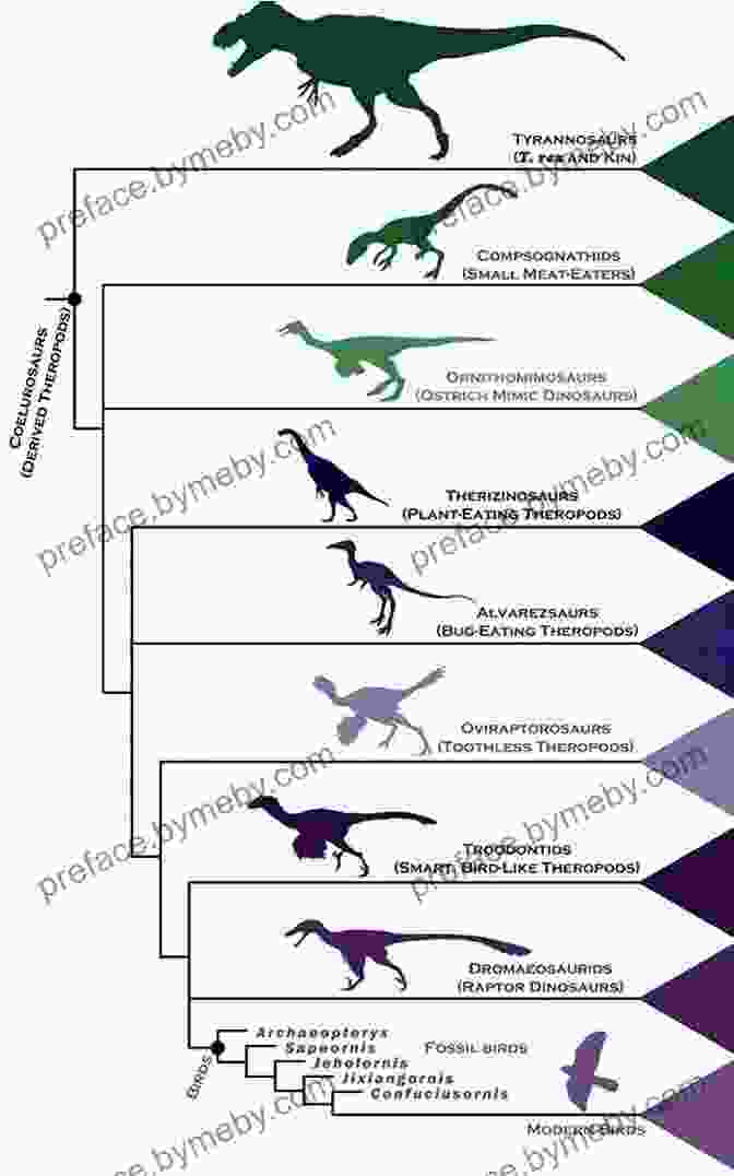 A Diagram Depicting The Evolutionary Relationships And Diversification Of Dinosaur Species Definitive Dinosaurs Romella Jones