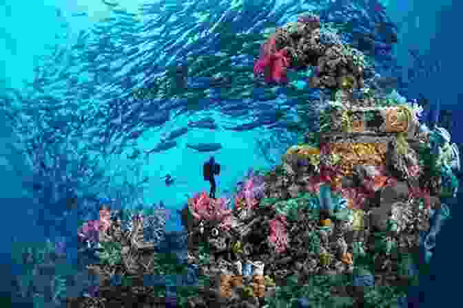 A Diver Explores A Coral Reef In Truk Lagoon Diving Snorkeling Guide To Truk Lagoon And Pohnpei Kosrae (Diving Snorkeling Guides 5)