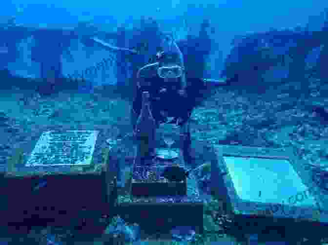 A Diver Swims Through A Sunken Japanese Warship In Truk Lagoon Diving Snorkeling Guide To Truk Lagoon And Pohnpei Kosrae (Diving Snorkeling Guides 5)