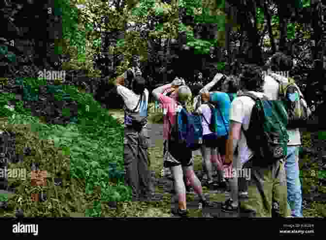 A Group Of Tourists Observing Wildlife In Costa Rica Costa Rica: The Complete Guide: Ecotourism In Costa Rica (Color Travel Guide)