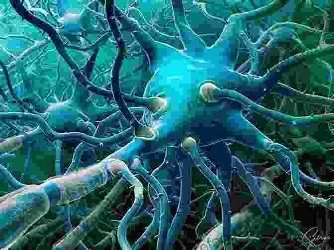 A Microscopic Image Of The Human Brain, Revealing The Intricate Network Of Neurons And Connections That Form The Foundation Of Consciousness. The Great Unknown: Seven Journeys To The Frontiers Of Science