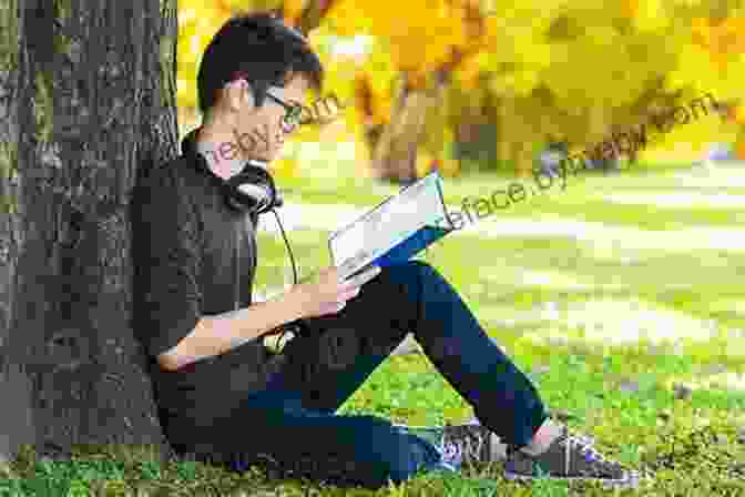 A Person Sitting In A Park, Reading A Book And Enjoying The Sunshine Horse Training In Hand: A Modern Guide To Working From The Ground