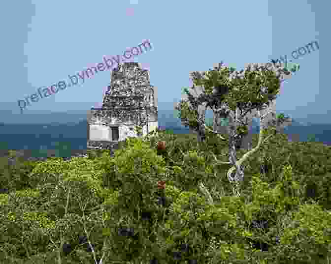 A Towering Maya Pyramid Amidst The Rainforest A Photographer S Guide To Calakmul