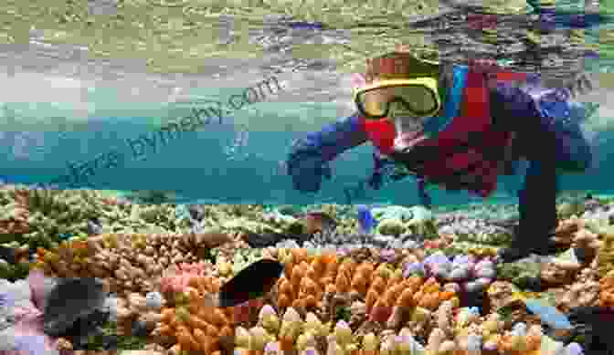 Adventurous Activities Such As Scuba Diving, Snorkeling, And Kayaking Cozumel Survival Manual Heather Lende