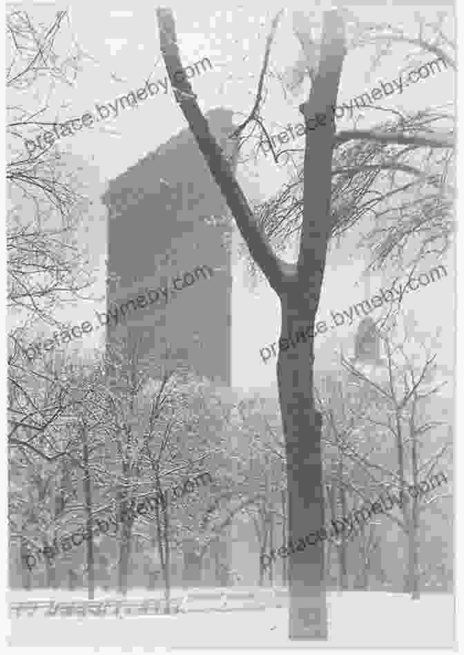 Alfred Stieglitz, The Flatiron, 1907 Pictures In The Air: The Story Of The National Theatre Of The Deaf