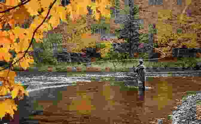 An Angler Casting A Fly Into A Clear Trout Stream, Surrounded By Vibrant Autumn Foliage. Exploring Wisconsin Trout Streams: The Angler S Guide