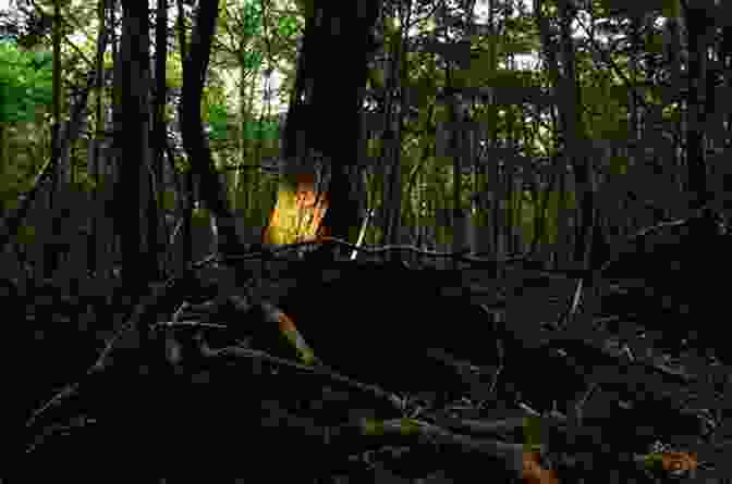 Aokigahara Forest, Japan The Most Haunted Places In The World (Spooked)