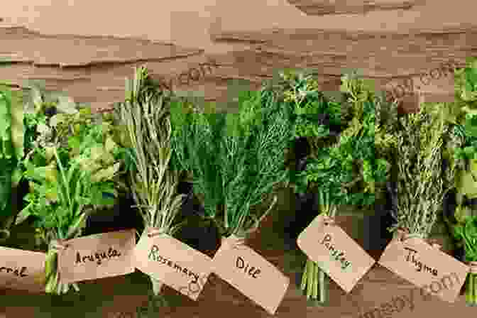 Close Up Of Fresh Herbs Growing In A Garden Explore Fresh Garden Recipes In SOUTHERN: 130 Homegrown Favorites