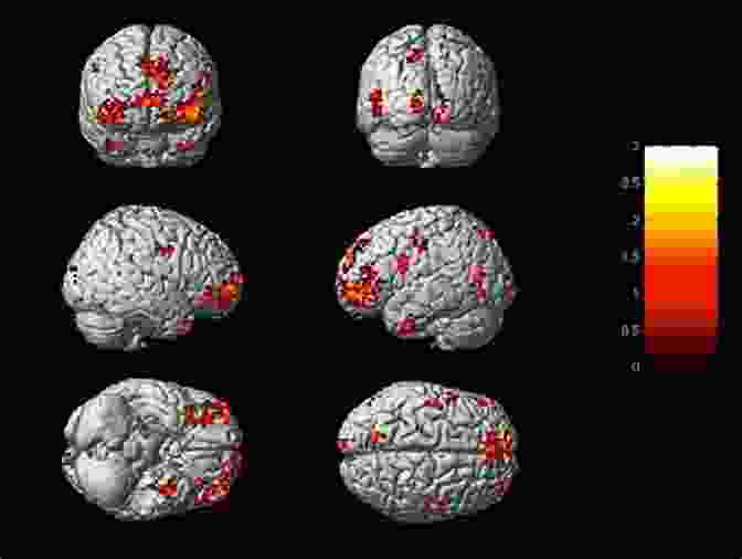 Diagram Of Brain Activity Patterns Associated With Happiness Firmness Of Mind: A Collection Of Expert Advice On Becoming Happier Through Mental Conditioning