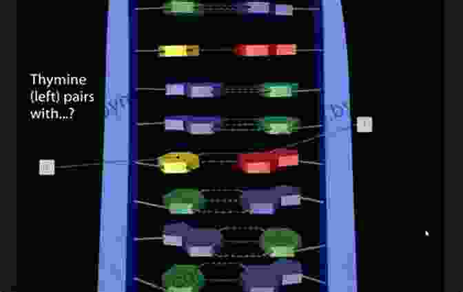 DNA Structure Flashcard 5 Steps To A 5 AP Biology Flashcards (5 Steps To A 5 On The Advanced Placement Examinations Series)