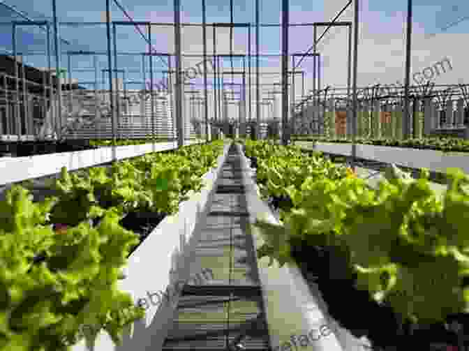 Economic And Social Impacts Of Rooftop Urban Agriculture Rooftop Urban Agriculture Rakesh V Vohra