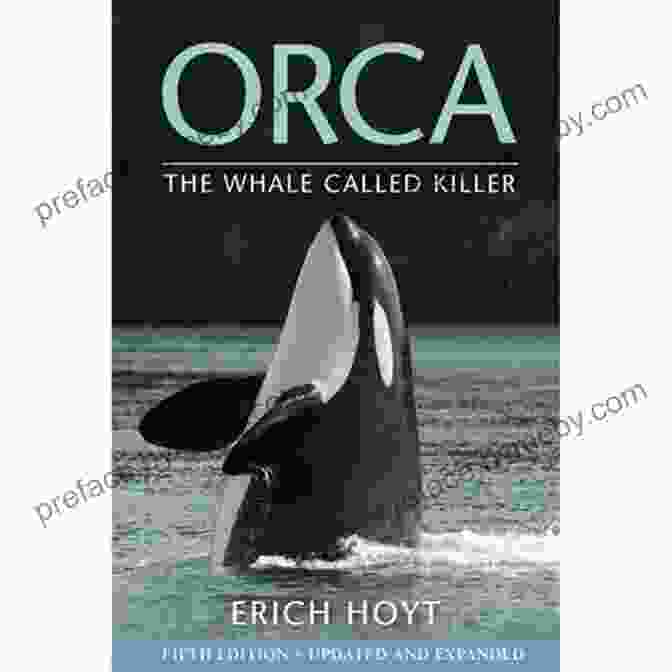 Lost Orca Currents Book Cover Lost (Orca Currents) John Wilson