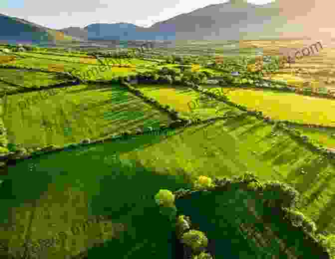 Lush Green Landscape Of Ireland St Patrick S Day For Beginner Readers (Seasonal Easy Readers For Beginner Readers 4)