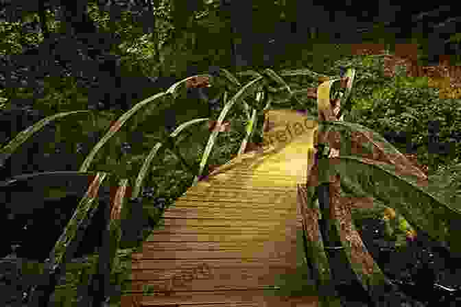 Magnolia Crossing A Bridge In The Enchanted Forest The Not So Faraway Adventure Elizabeth Cody Kimmel