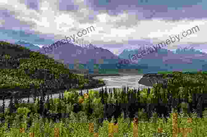 Panoramic View Of A Vast Alaskan Wilderness With Towering Mountains, Pristine Lakes, And Lush Forests Travels In Alaska: Three Immersions Into Alaskan Wilderness And Culture (John Muir: The Eight Wilderness Discovery 7)