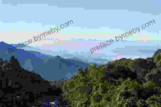 Panoramic View Of The Blue Mountains Shrouded In Mist And Kissed By Sunlight Climbing The Blue Mountain: Take The Next Step On Your Spiritual Journey