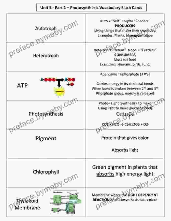 Photosynthesis Flashcard 5 Steps To A 5 AP Biology Flashcards (5 Steps To A 5 On The Advanced Placement Examinations Series)