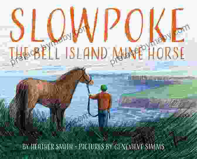 Slowpoke The Bell Island Mine Horse Book Cover Slowpoke The Bell Island Mine Horse