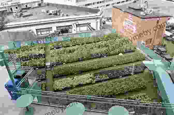 Sustainable Practices In Rooftop Urban Agriculture Rooftop Urban Agriculture Rakesh V Vohra