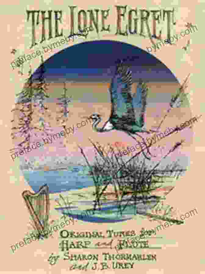 The Lonely Egret Book Cover, Featuring A Lone Egret Standing On A Rock In A Tranquil Marsh The Lonely Egret La Garceta Solitaria (Adventures With Teo Aventuras Con Teo 1)