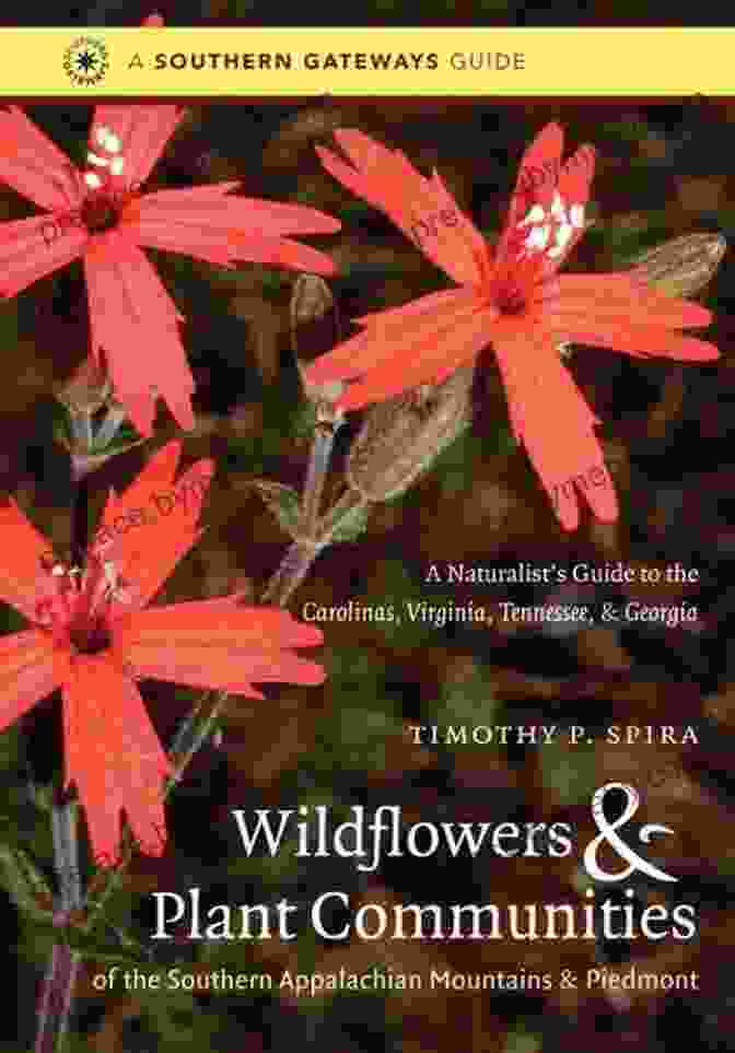 The Naturalist's Guide To The Carolinas, Virginia, Tennessee, And Georgia Southern Wildflowers And Plant Communities Of The Southern Appalachian Mountains And Piedmont: A Naturalist S Guide To The Carolinas Virginia Tennessee And Georgia (Southern Gateways Guides)