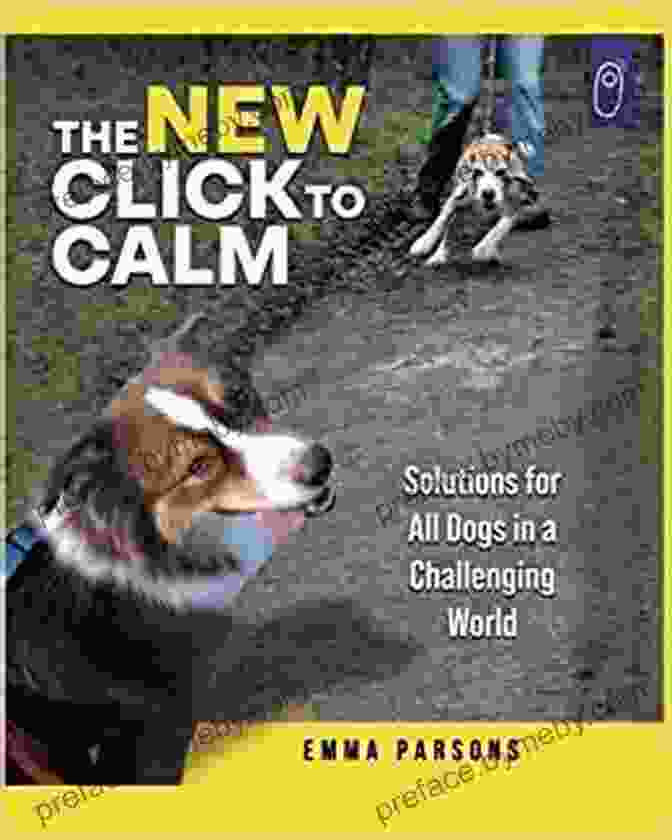 The New Click To Calm Book Cover The New Click To Calm