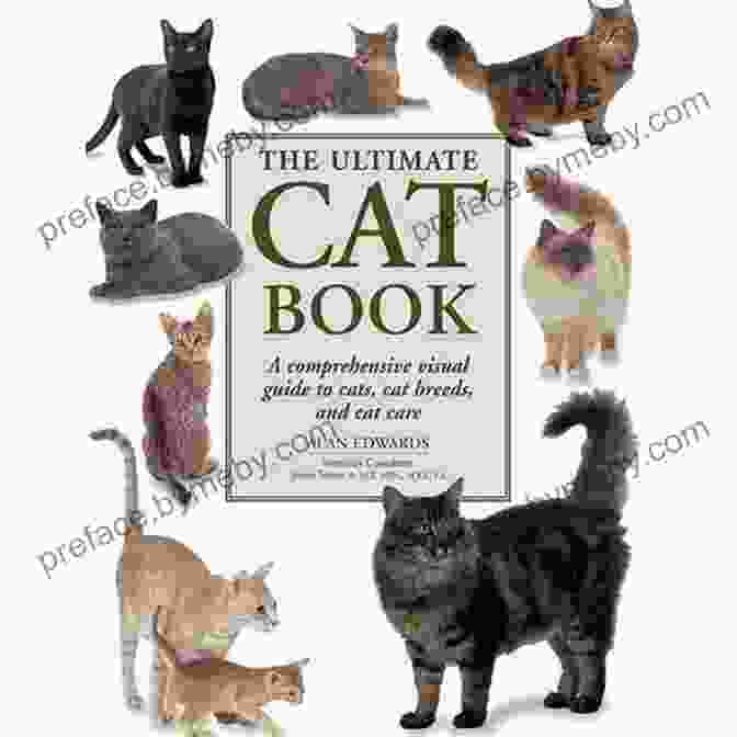 The Ultimate Guide To Life With Your Cat Book Cover Total Cat Mojo: The Ultimate Guide To Life With Your Cat