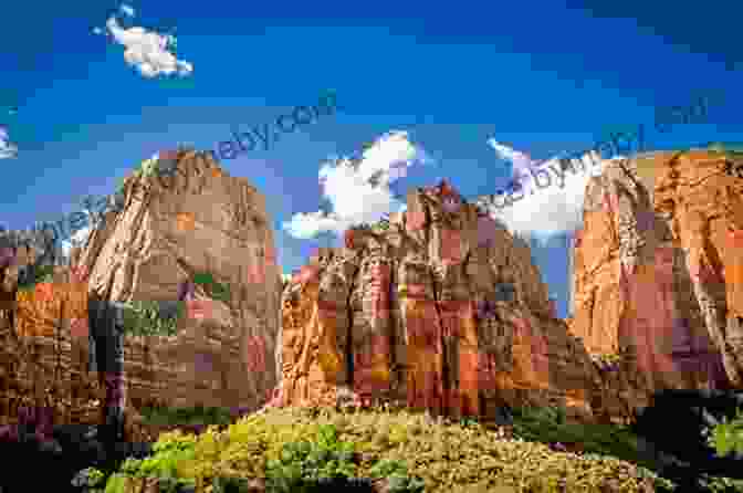 Zion National Park A Complete Guide To The Grand Circle National Parks: Covering Zion Bryce Capitol Reef Arches Canyonlands Mesa Verde And Grand Canyon National Parks