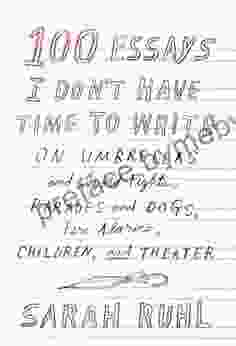 100 Essays I Don T Have Time To Write: On Umbrellas And Sword Fights Parades And Dogs Fire Alarms Children And Theater