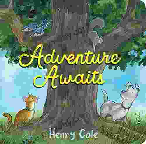 Adventure Awaits Henry Cole