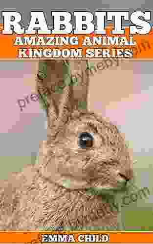 RABBITS: Fun Facts and Amazing Photos of Animals in Nature (Amazing Animal Kingdom 17)