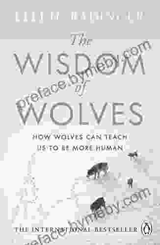 The Wisdom Of Wolves: How Wolves Can Teach Us To Be More Human