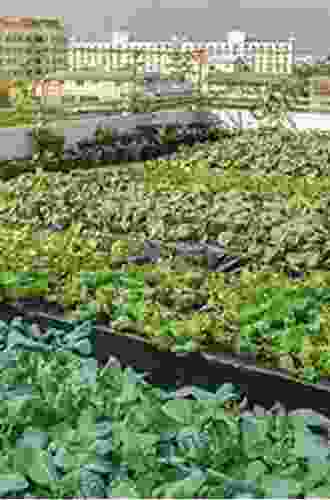 Rooftop Urban Agriculture Rakesh V Vohra