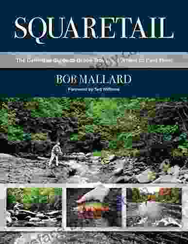 Squaretail: The Definitive Guide To Brook Trout And Where To Find Them