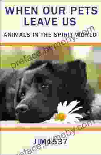 When Our Pets Leave Us: Animals In The Spirit World